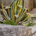Eden Dubrovnik *
