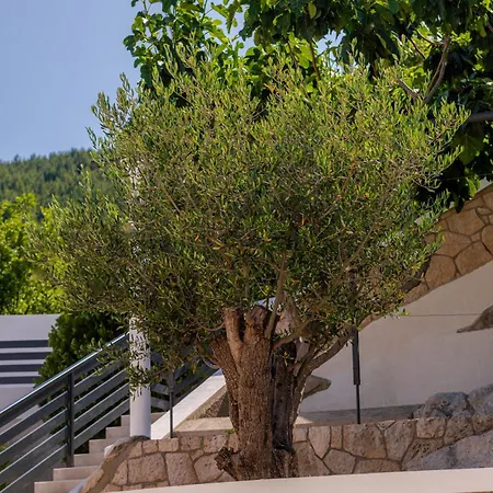 Vila Eden Dubrovnik *