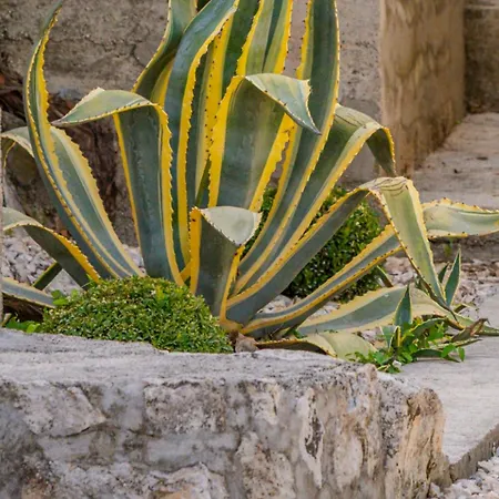 Eden Dubrovnik *
